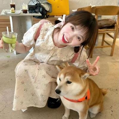 追夫四人行